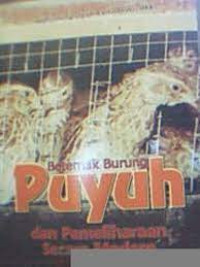 Image of Beternak Burung Puyuh dan Pemeliharaan secara Modern