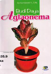 Image of Budi Daya Aglaonema
